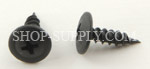 Trim Screws G.M. # 11505104